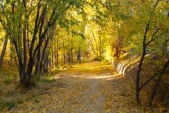 Greenway trail fall 3